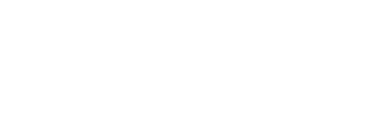 Loole company logo