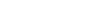 Sion company logo