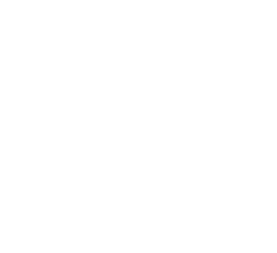Tecnigasex company logo
