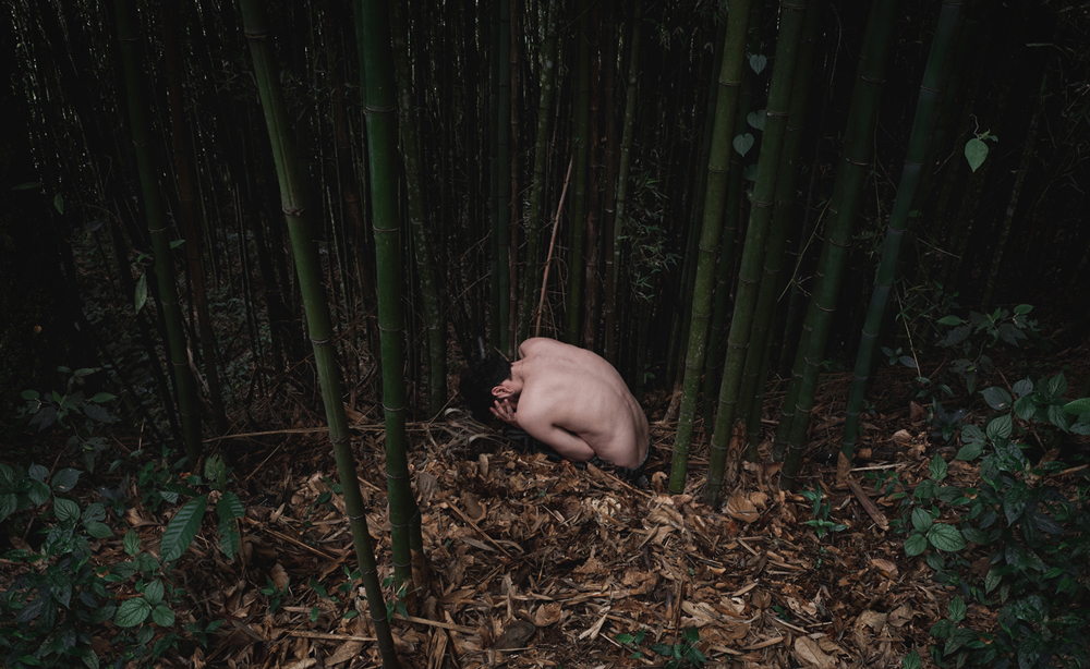 Artistic photography, naked man covering his face with his hands in the middle of a bamboo forest.